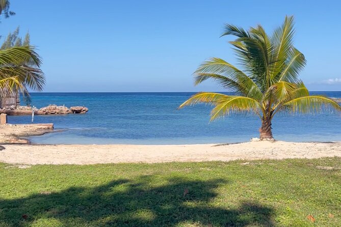 Bamboo Rafting & Horseback Ride N Swim Guided Tour in Montego Bay - Inclusions and What to Expect