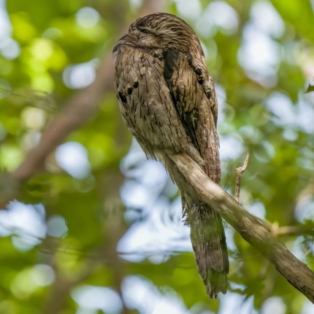 Bamboo Rafting, Limestone Foot Massage and Bird Sanctuary - Frequently Asked Questions