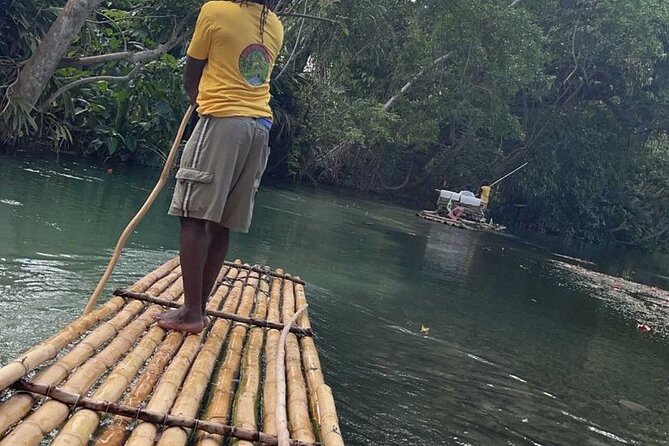 Bamboo River Rafting Experience From Ocho Rios - Scenic Rainforest and Wildlife