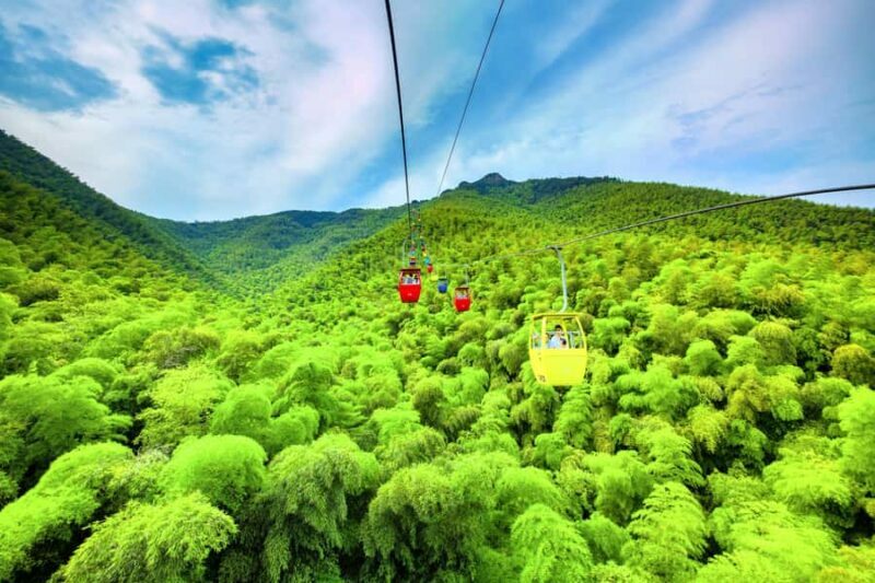 Bamboo Sea Direct Access Tour: High-Speed Rail from Shanghai - Key Points