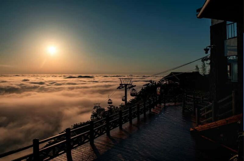Bamboo Sea Direct Access Tour: High-Speed Rail from Shanghai - An Authentic Journey into China’s Natural Beauty