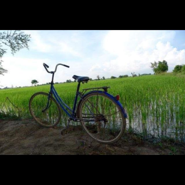 Bamboo Train Rice Field Killing Cave Bat Cave &Sun Set - Pricing and Booking