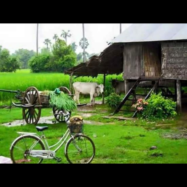 Bamboo Train Rice Field Killing Cave Bat Cave &Sun Set - Frequently Asked Questions