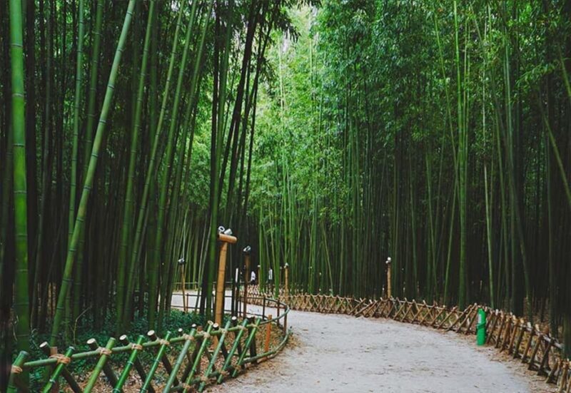 Bamboo Village & Cycling Tour in Wayanad - Highlights of the Experience