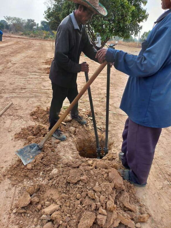 Ban Chik: Organic Farm Tour With Tasting - Key Points