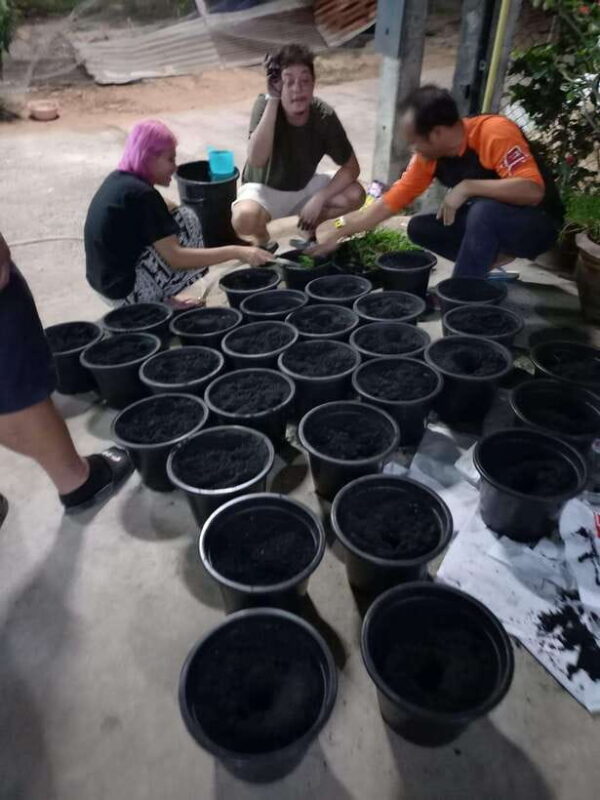Ban Chik: Organic Farm Tour With Tasting - Tour Details