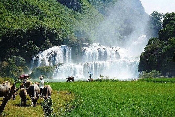 Ban Gioc Waterfall 2 Days 1 Night From Hanoi - Excluded From the Package