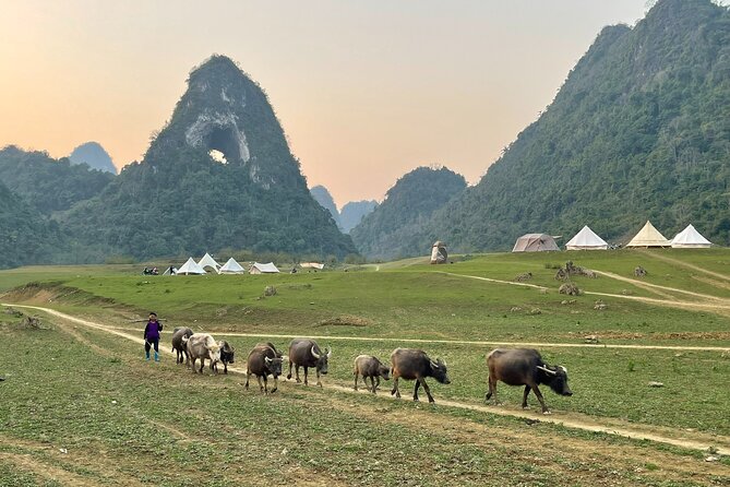 Ban Gioc Waterfall & Mt Angel Eye Full Day Trip With Easy Rider - Scenic Ride and Local Interactions