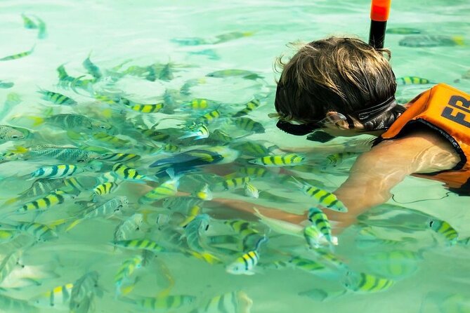 Banana Beach Snorkeling Day Out - Overview of Experiences