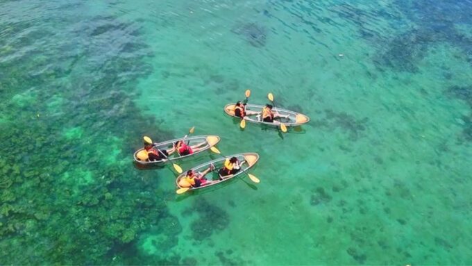 Banana Boat Ride & Clear Kayak Experience in Coron Palawan - Viewing Marine Life Encounter