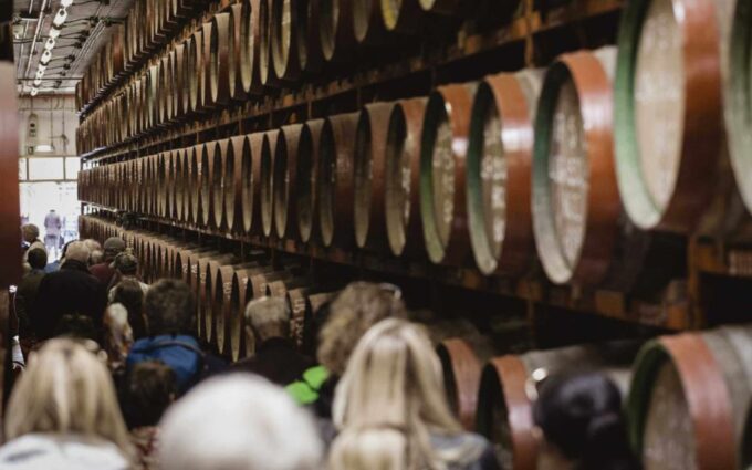 Banana, Wines & Rum Taste - Premium Tour in Gran Canaria - Frequently Asked Questions