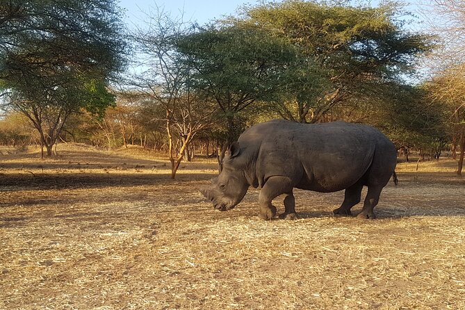 Bandia Park Safari (Minimum 2 Participants) - Inclusions and Logistics