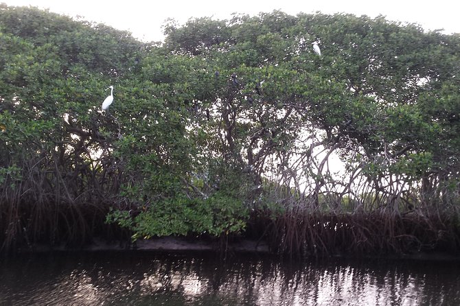 Bandia With Lagoon of Somone. Minimum 2 People for Reservation - Pickup Information