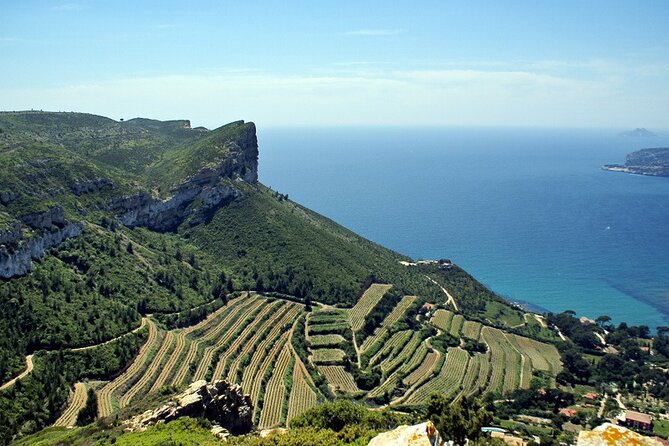 Bandol Wine Tour - 4 Hour Private Tour - Tasting the Renowned Bandol Wines