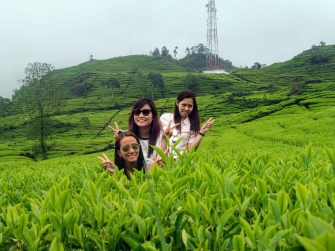 Bandung Kawah Putih and Rengganis Crater Private Day Tour - Pickup and Dropoff