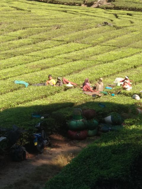 Bandung Private Tour Guide Sightseeing (Costum Tour) - Prohibited Items