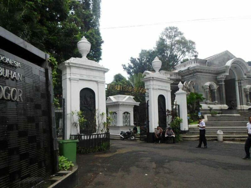 BANDUNG TO JAKARTA: Tea Plantation and Botanical Garden Tour - Key Points