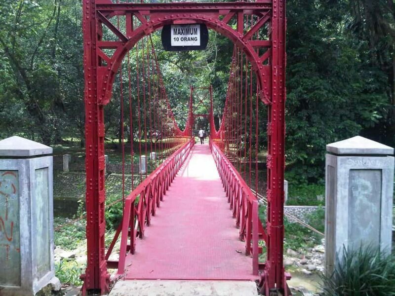 BANDUNG TO JAKARTA: Tea Plantation and Botanical Garden Tour - The Journey Begins: From Bandung to Puncak Bogor
