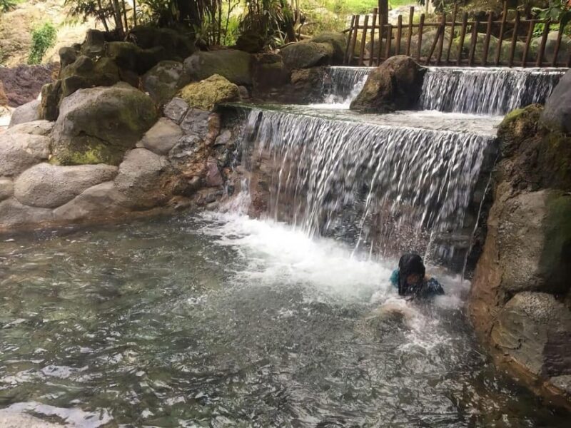 Bandung Tour : Volcano, Coffee Fields, Hot Springs Water - Itinerary Highlights