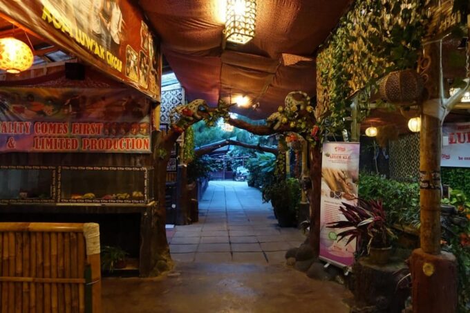 Bandung Tour : Volcano, Coffee Fields, Hot Springs Water - Tour Duration and Languages