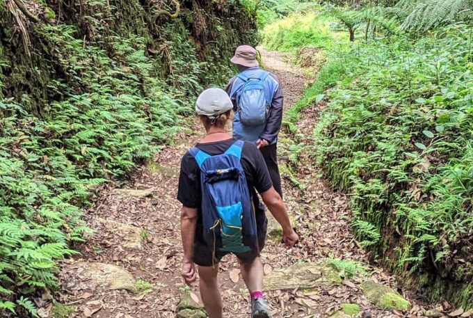 Bandung Volcano Full Day Trip With Stony Bubble Crater - Important Information