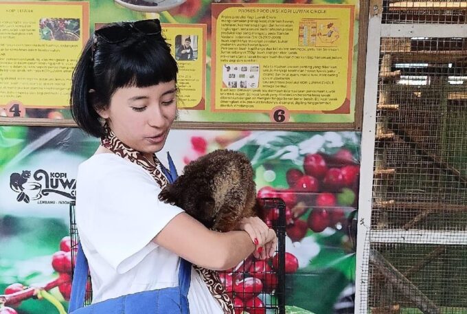 Bandung Volcano Full Day Trip With Stony Bubble Crater - Scenic Views and Photo Stops