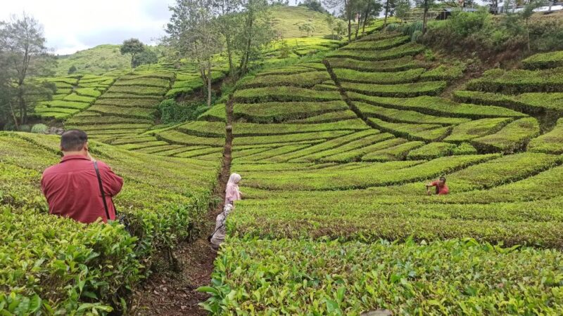 Bandung: Volcano, Hot Spring, Mud Bathing, & Lake Tour - Itinerary Highlights