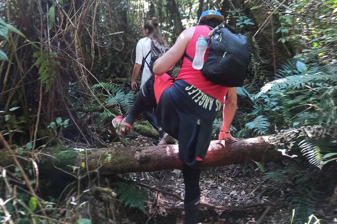 Bandung Volcano, Hotsprings, Mud, Lunch Etc All Included - Soak in Hot Springs