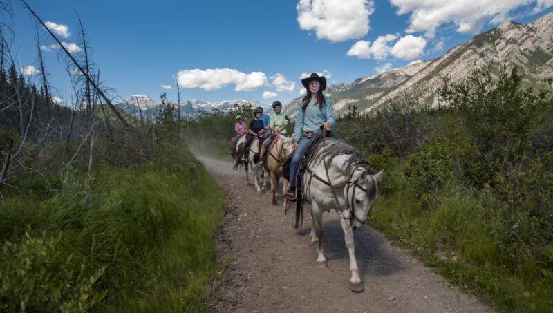 Banff: 3-Hour Bow Valley Loop Horseback Ride - Experience Highlights