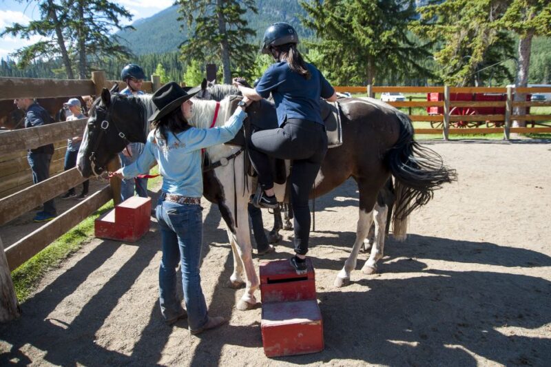 Banff: 3-Hour Bow Valley Loop Horseback Ride - Customer Feedback