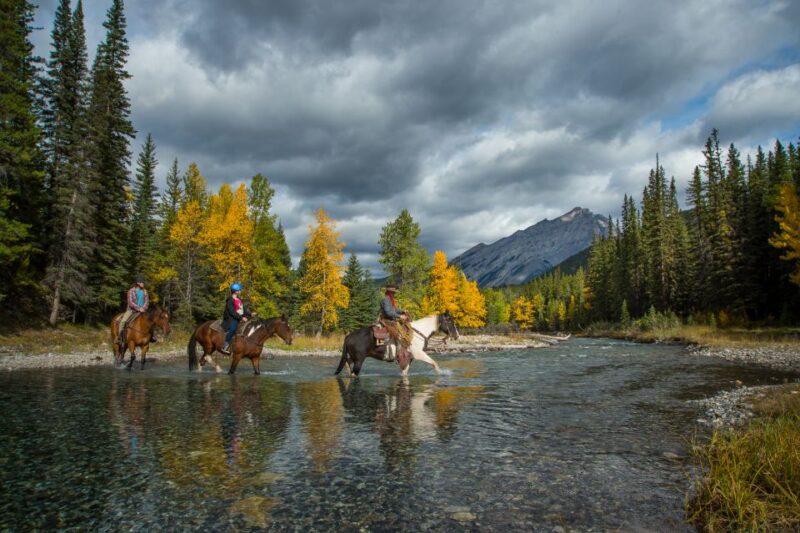 Banff: 4-Hour Sulphur Mountain Intermediate Horseback Ride - Key Points