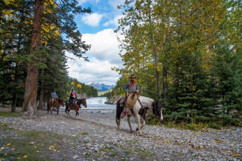 Banff: 4-Hour Sulphur Mountain Intermediate Horseback Ride - Itinerary Highlights