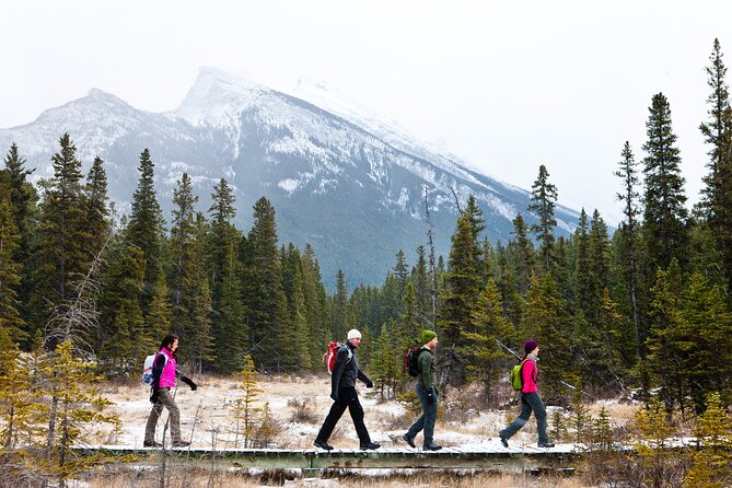 Banff: Banff National Park - Nature Walk 2hrs - Highlights of the Experience