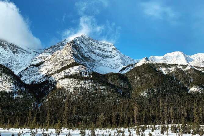 Banff: Banff National Park - Nature Walk 2hrs - Included in the Tour