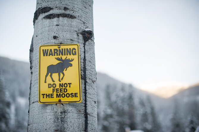 Banff: Banff National Park - Nature Walk 2hrs - Group Size and Accessibility
