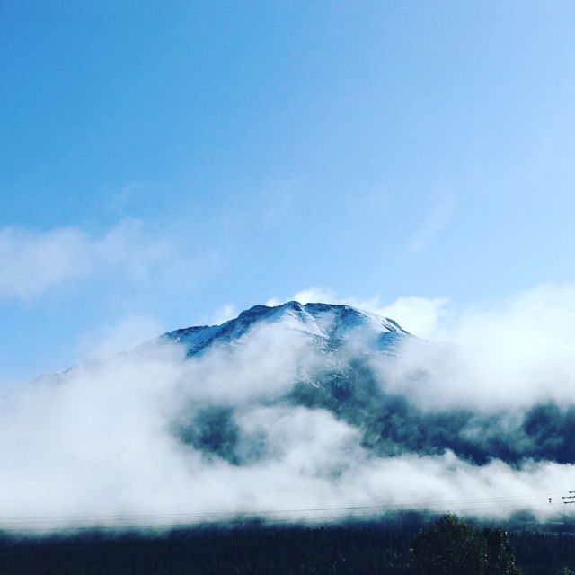 Banff: Bear Country Hiking Tour - Full Day Hike /5hrs - Itinerary Details