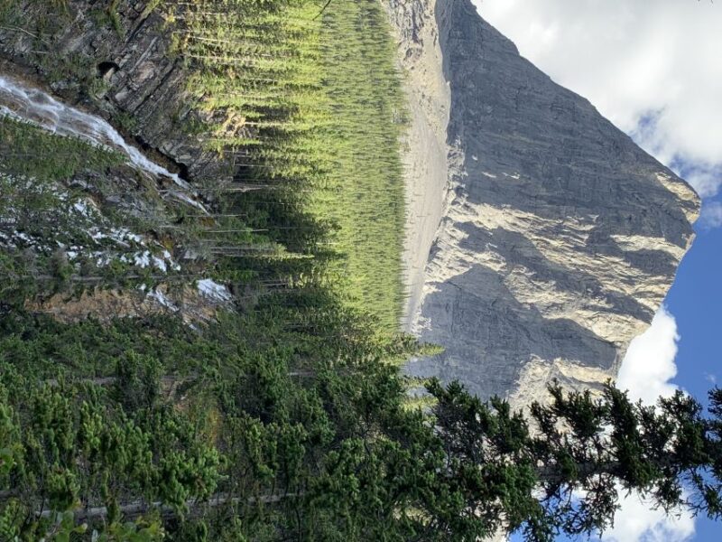 Banff: Bear Country Hiking Tour - Full Day Hike /5hrs - Inclusions and Exclusions