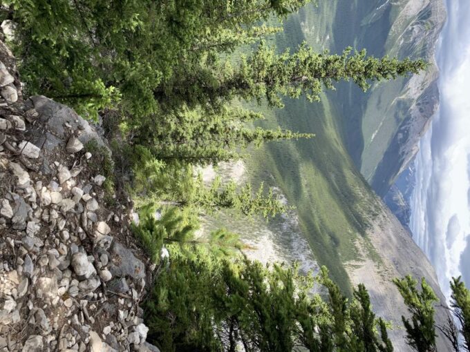 Banff: Bear Country Hiking Tour - Full Day Hike /5hrs - About the Guide