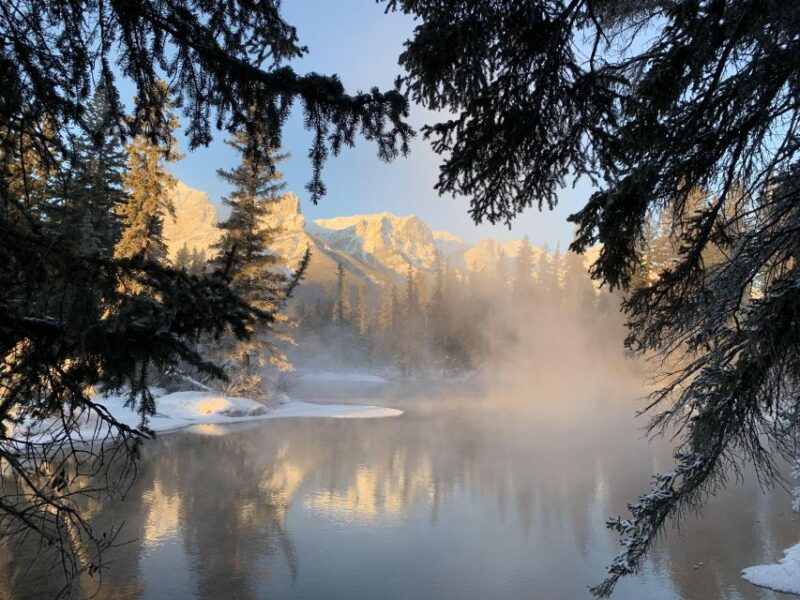 Banff: Best of Banff Nature Walk - 2hrs - Transportation and Travel Time