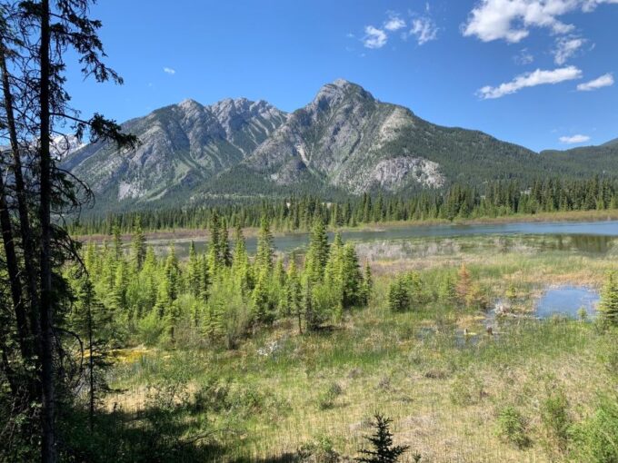 Banff: Best of Banff Nature Walk - 2hrs - Included Gear and Equipment