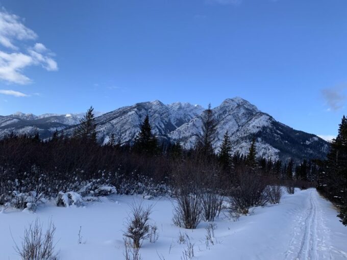 Banff: Best of Banff Nature Walk - 2hrs - Tour Reviews and Feedback