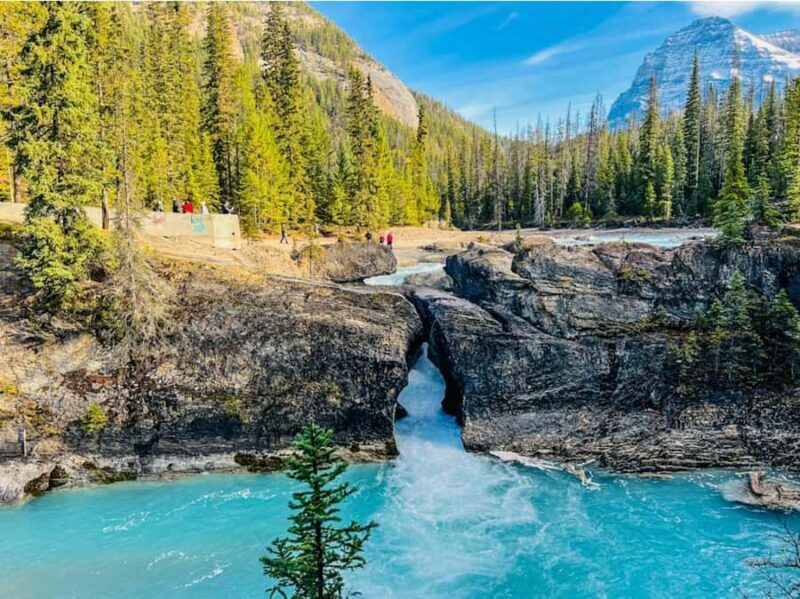Banff/Calgary: Louise, Moraine/Bow, Emerald & Peyto 4 Lakes - Who Is This Tour Best For?