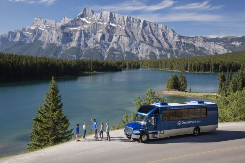 Banff: Evening Wildlife Safari Guided Tour - Wildlife Viewing Expectations