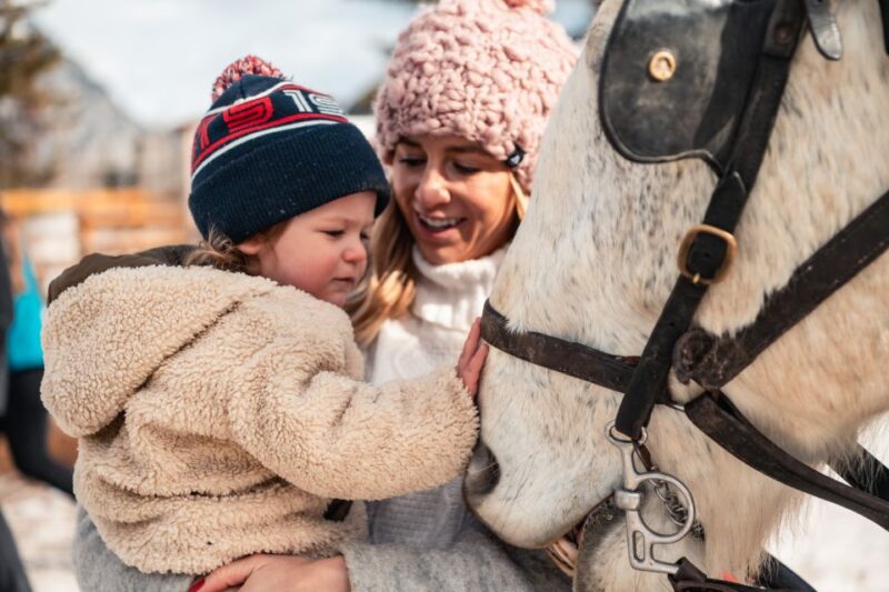 Banff: Family Friendly Horse-Drawn Sleigh Ride - Key Points