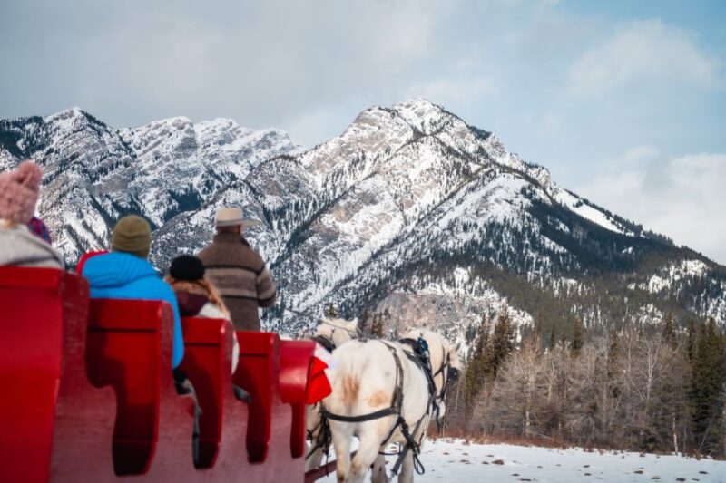 Banff: Family Friendly Horse-Drawn Sleigh Ride - Weather Dependency