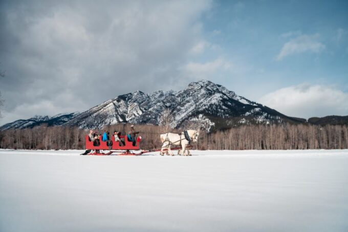 Banff: Family Friendly Horse-Drawn Sleigh Ride - Customer Reviews