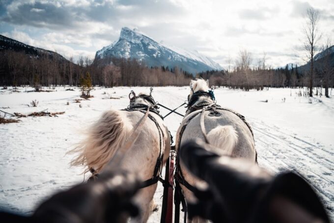 Banff: Family Friendly Horse-Drawn Sleigh Ride - Meeting Point and Availability