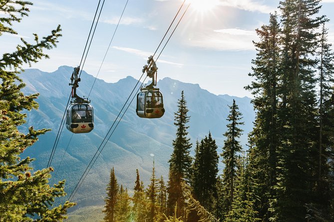 Banff Gondola Ride Admission - Scenic Views From the Summit