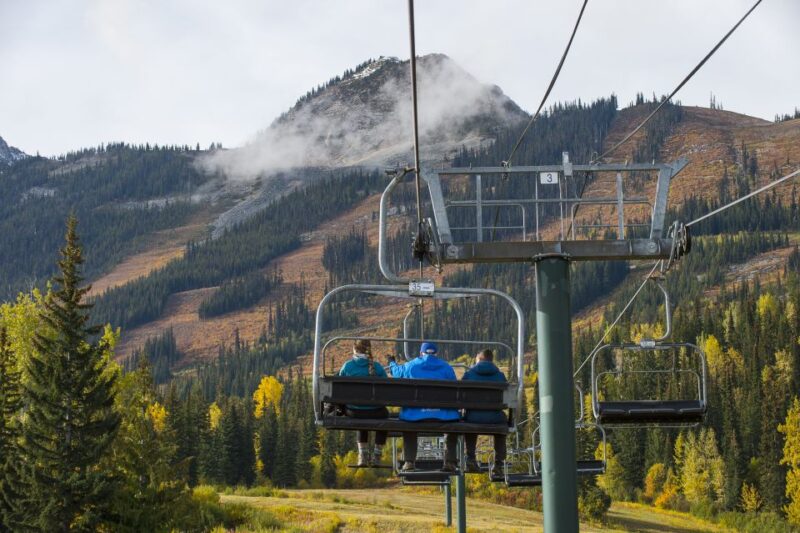 Banff: Grizzly Bear Refuge Tour With Lunch - Itinerary Highlights