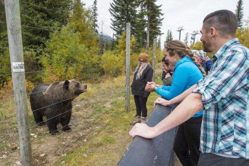 Banff: Grizzly Bear Refuge Tour With Lunch - Tour Inclusions